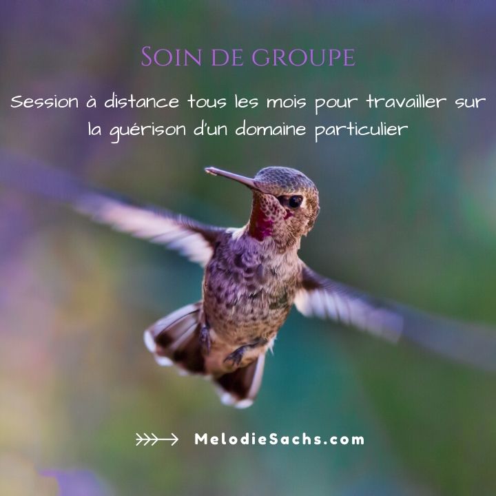 Membres_Melodie_Sachs_Soin_de_Groupe_19