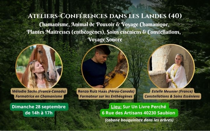 Melodie-Sachs-Chamanisme-Sur-Un-Livre-Perche-Landes-Saubion-Dashboard