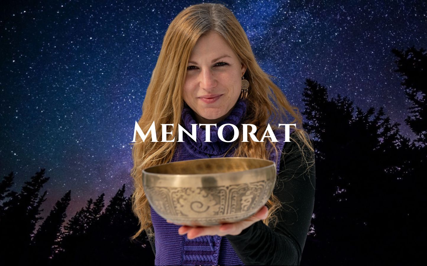 Mentorat-Dashboard