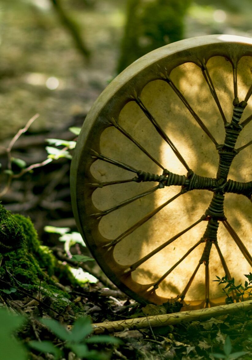 Melodie_Sachs_Fond_73